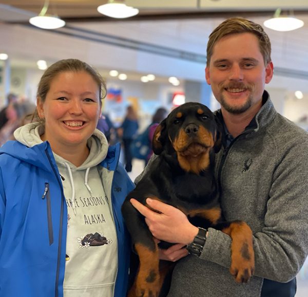 rottweiler-Puppy-nanny-shipping