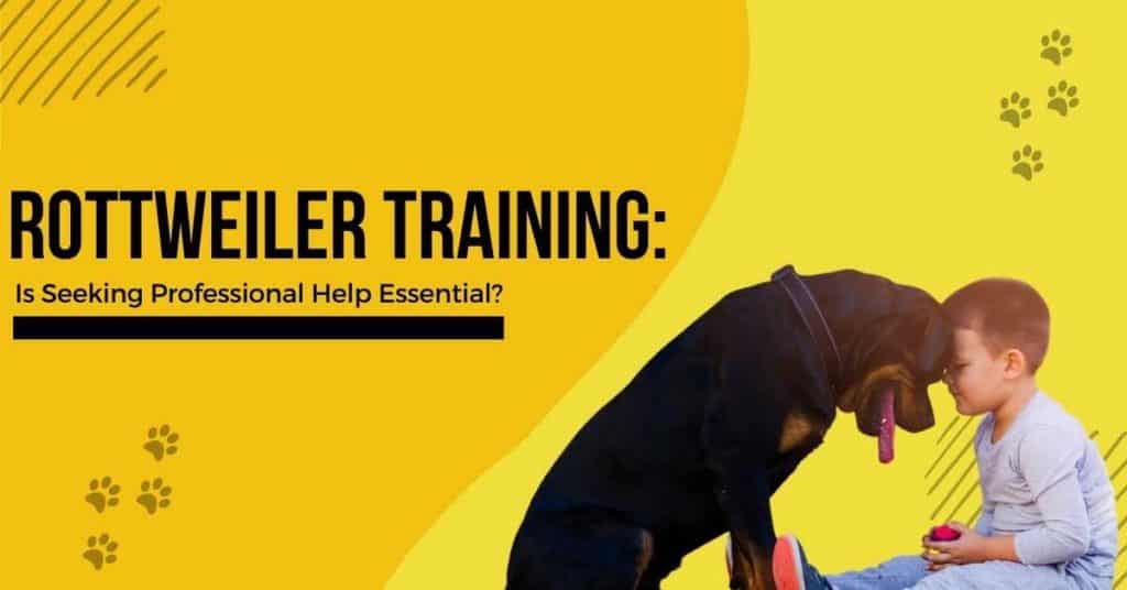 Rottweiler-Training