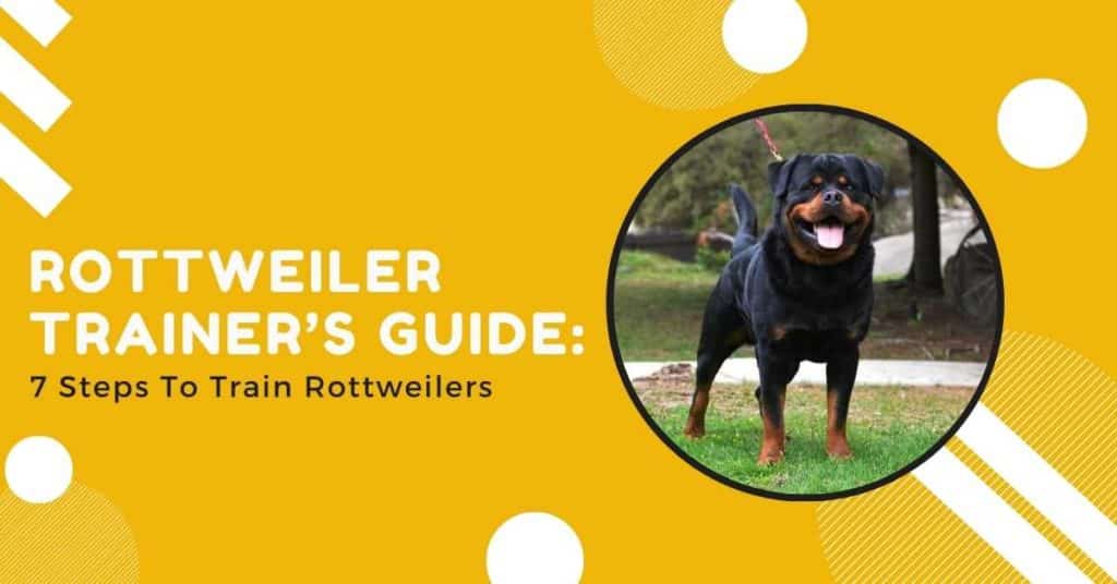 Rottweiler-trainer