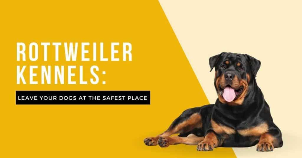 Rottweiler Kennels