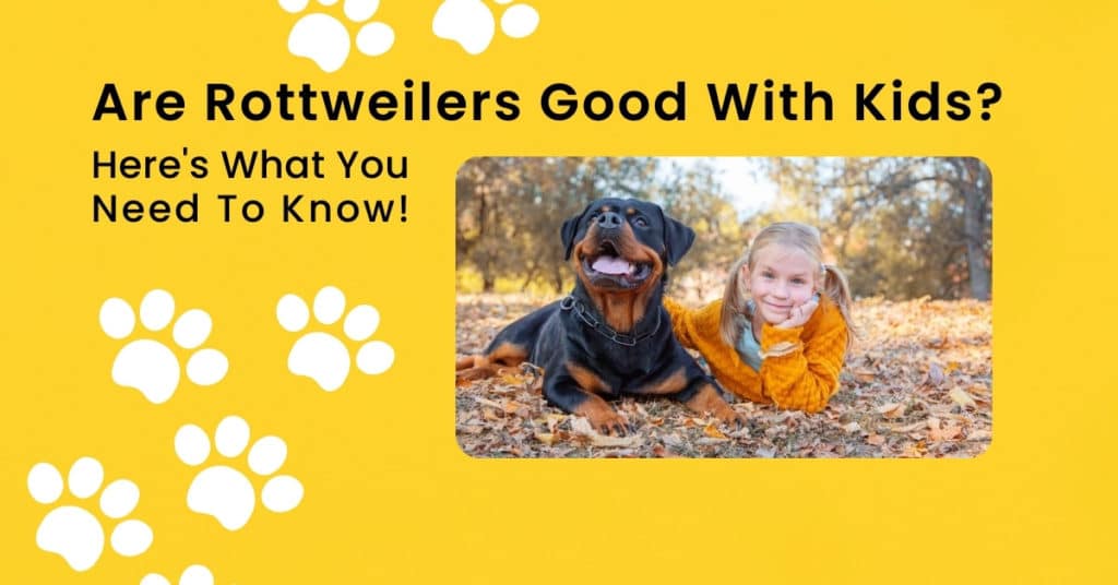 are-rottweilers-good-with-kids