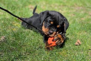 Visit-Our-Gallery-3-1