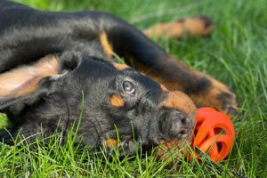 Visit-Our-Gallery-6-1