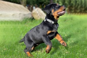 Visit-Our-Gallery-7-1