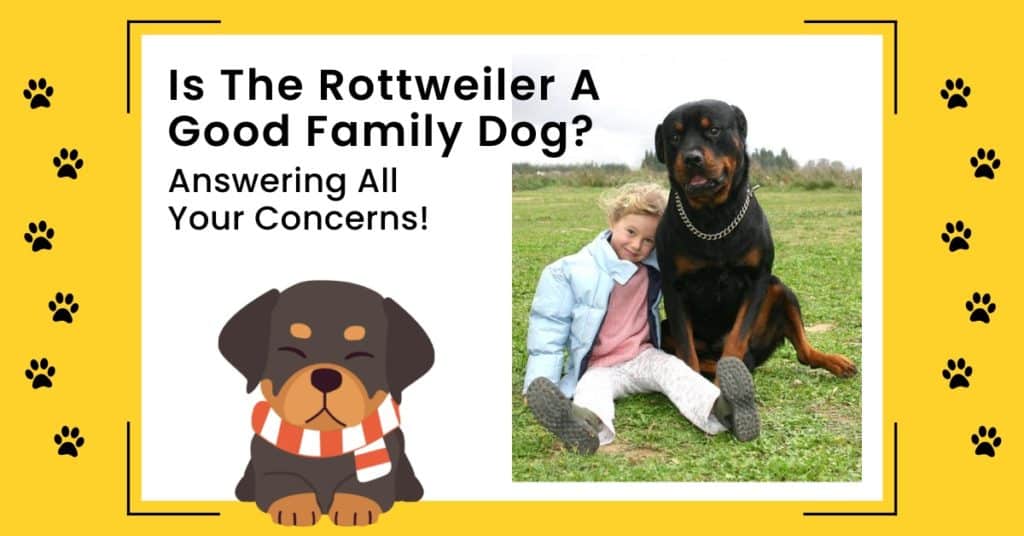 rottweiler-a-good-family-dog