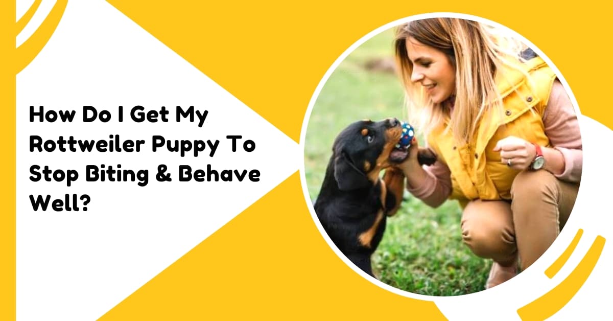 how-do-i-get-my-rottweiler-puppy-to-stop-biting