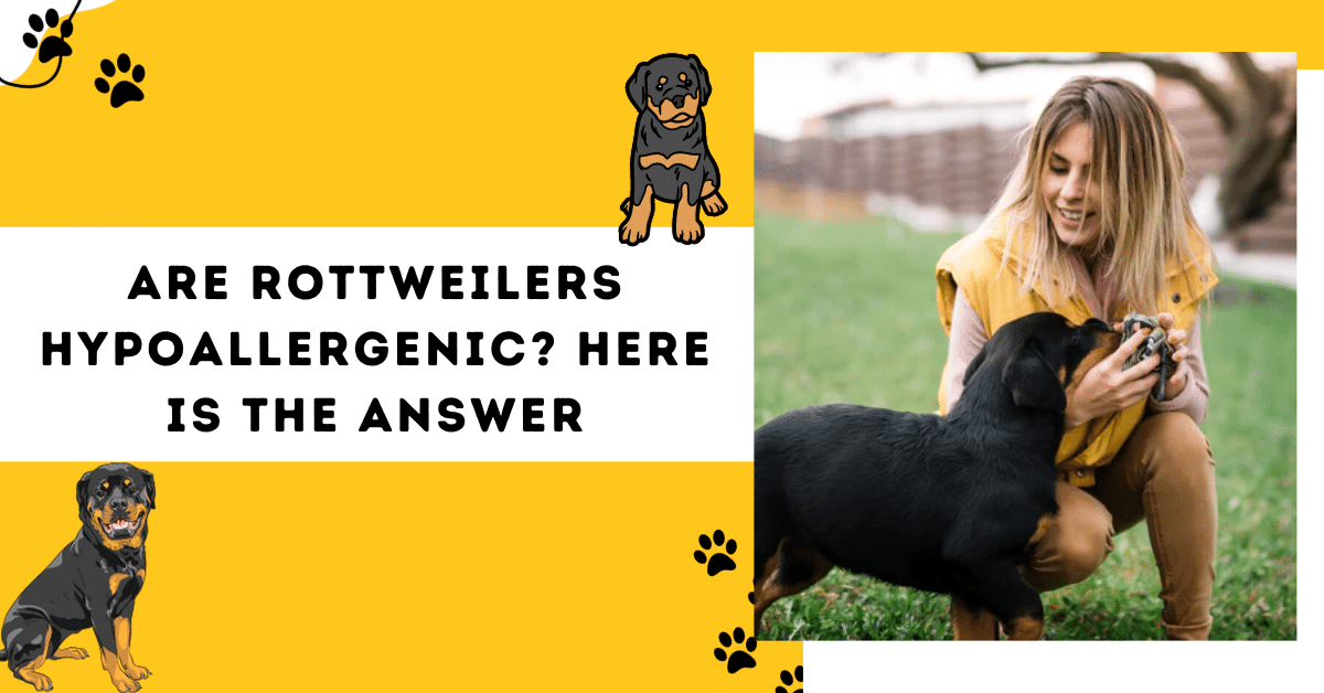 are-rottweilers-hypoallergenic